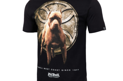 pitbull sklep
